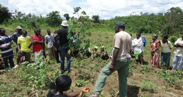 “Farmers’ Empowerment Key to Wean them of Government Support” – Best ...